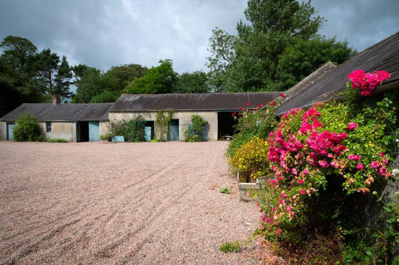 Knockanboy House Ballymoney Exteriér fotografie